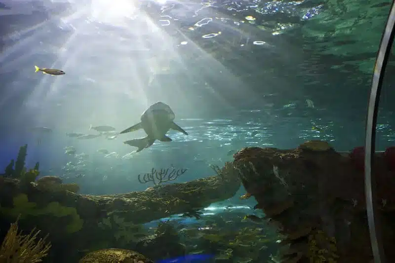 Qué visitar con los niños