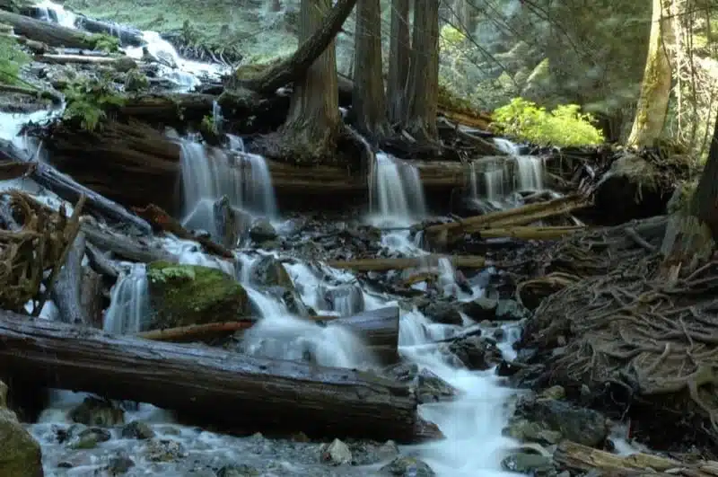 Bridal Veil Falls, Chilliwack, British Columbia